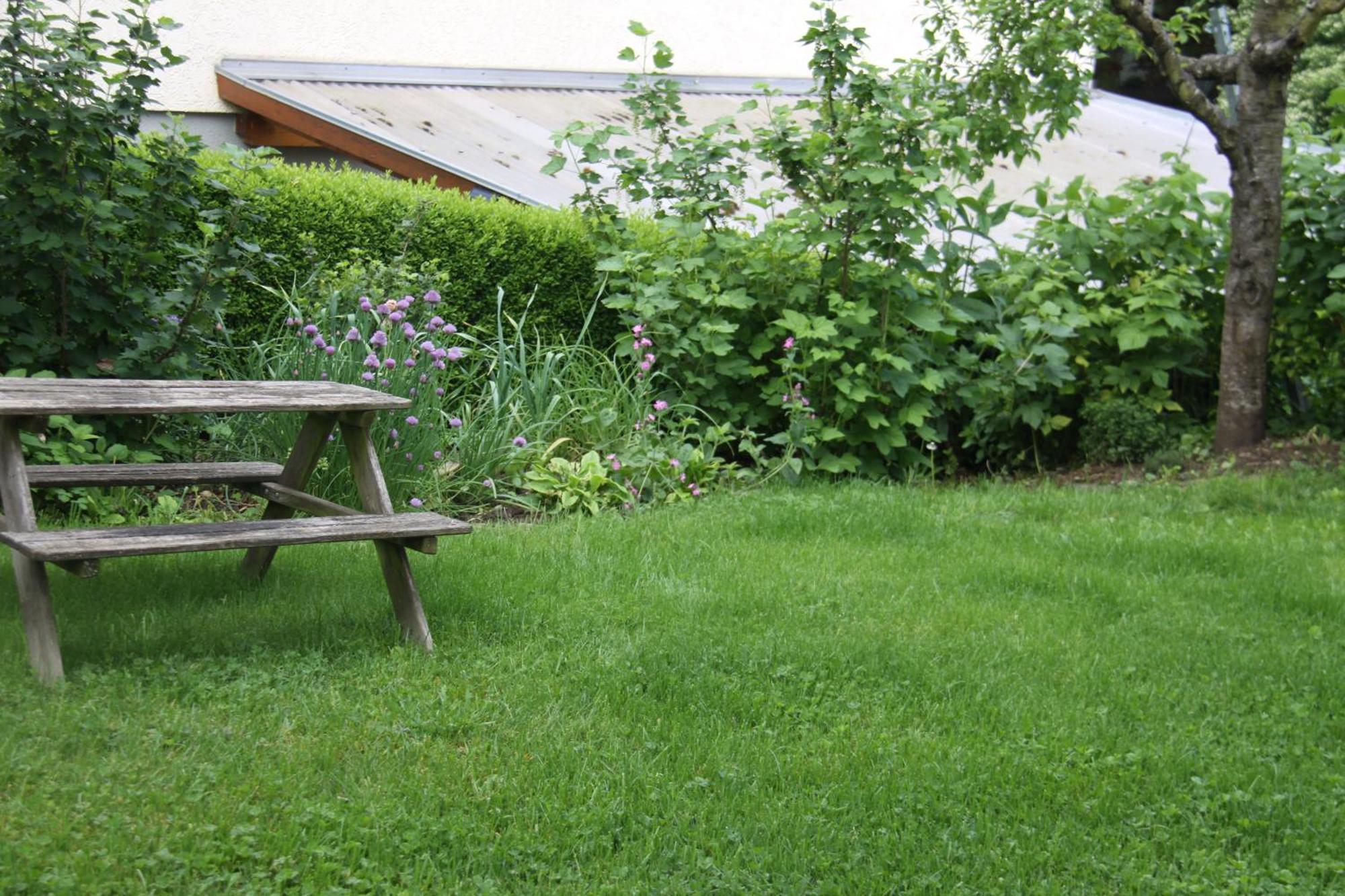 Apartment Vinea Mullheim (Baden-Wurttemberg)