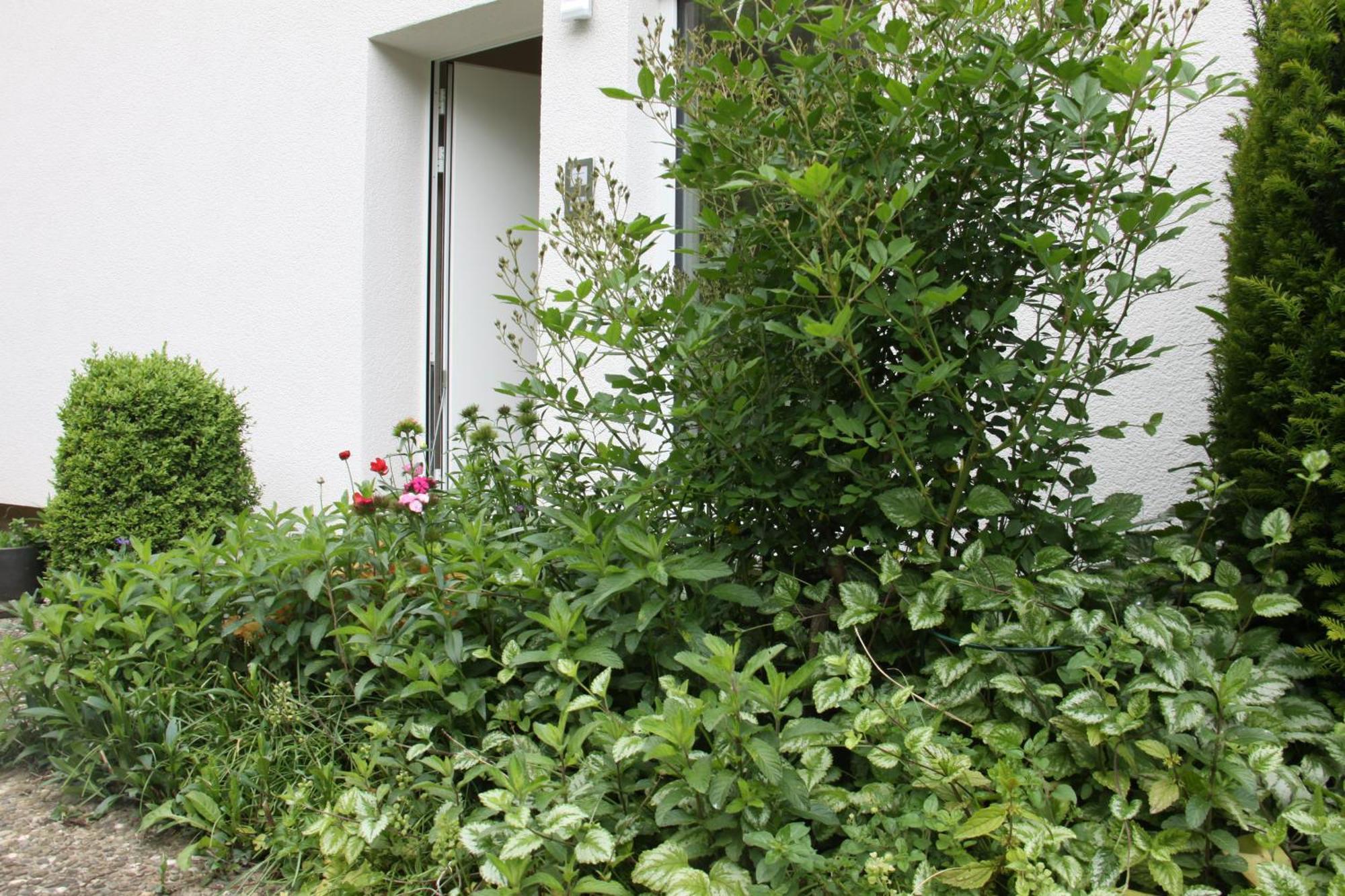 Apartment Vinea Mullheim (Baden-Wurttemberg)